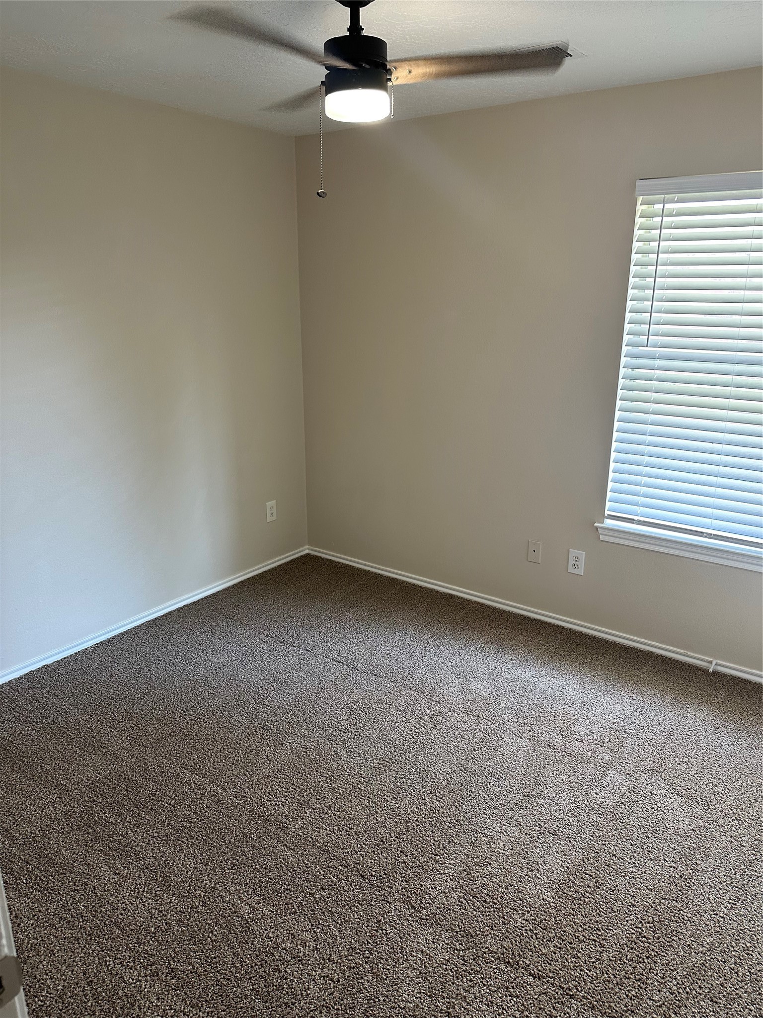 7427 Telico Junction Lane Property Photo 6