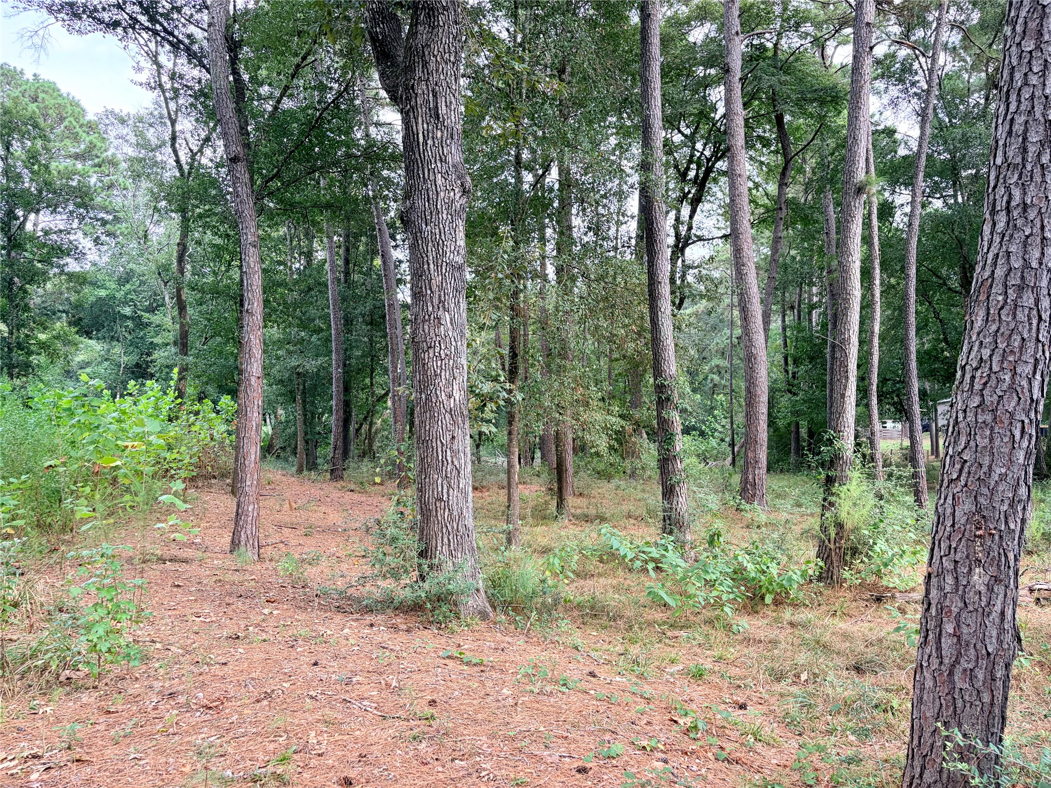 10012 Bentley Drive Property Photo 6