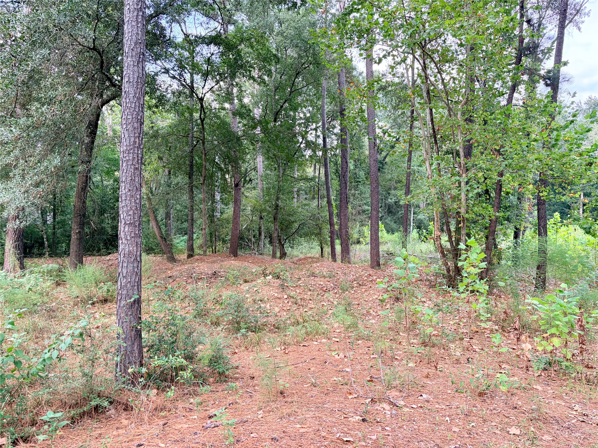 10012 Bentley Drive Property Photo 8
