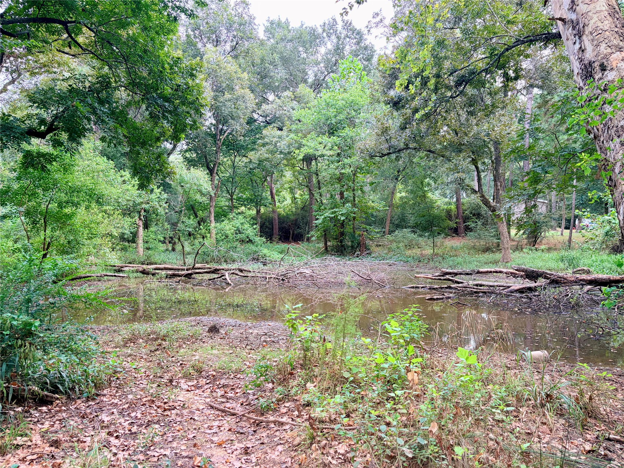 10012 Bentley Drive Property Photo 11
