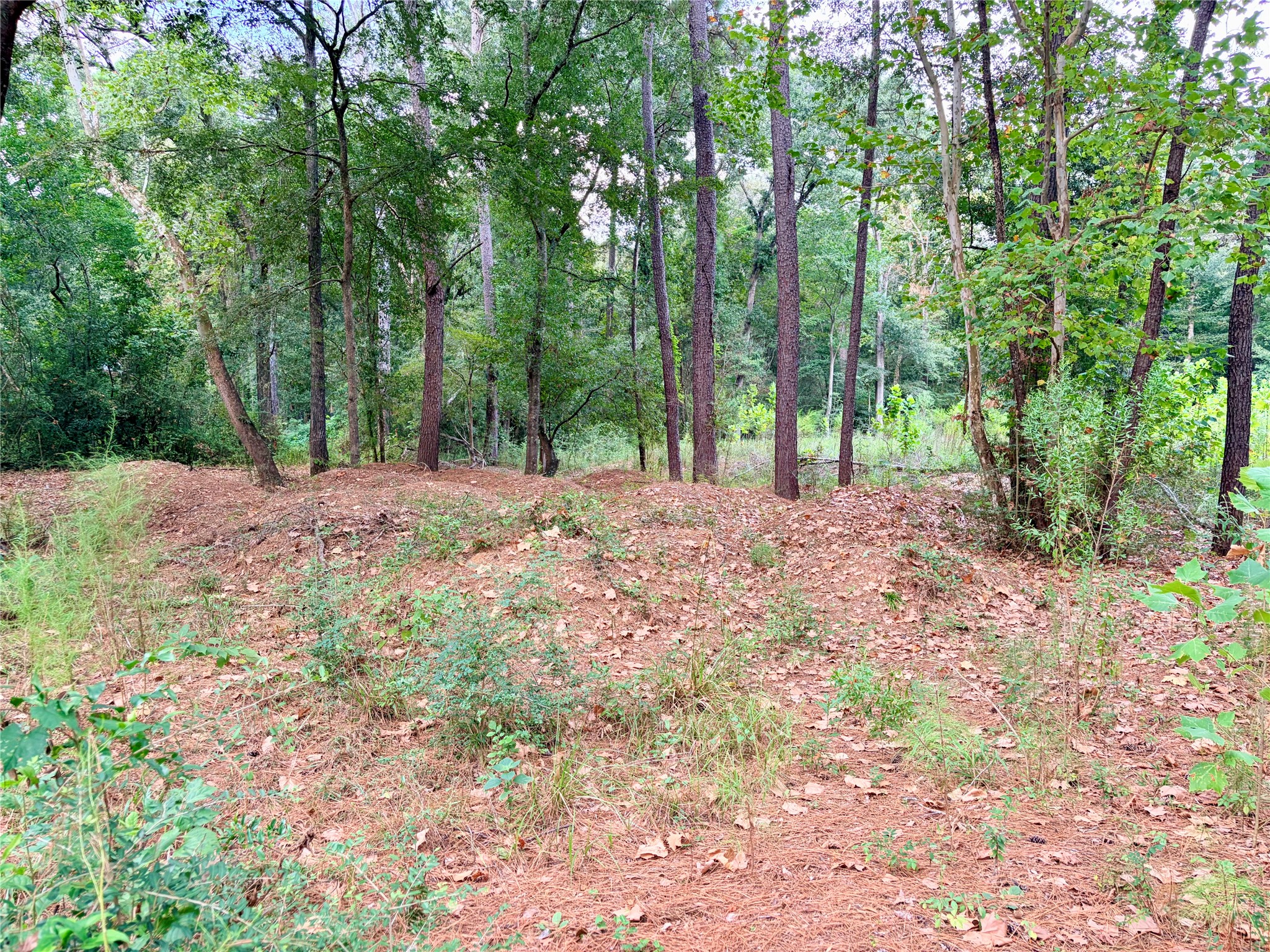 10012 Bentley Drive Property Photo 12