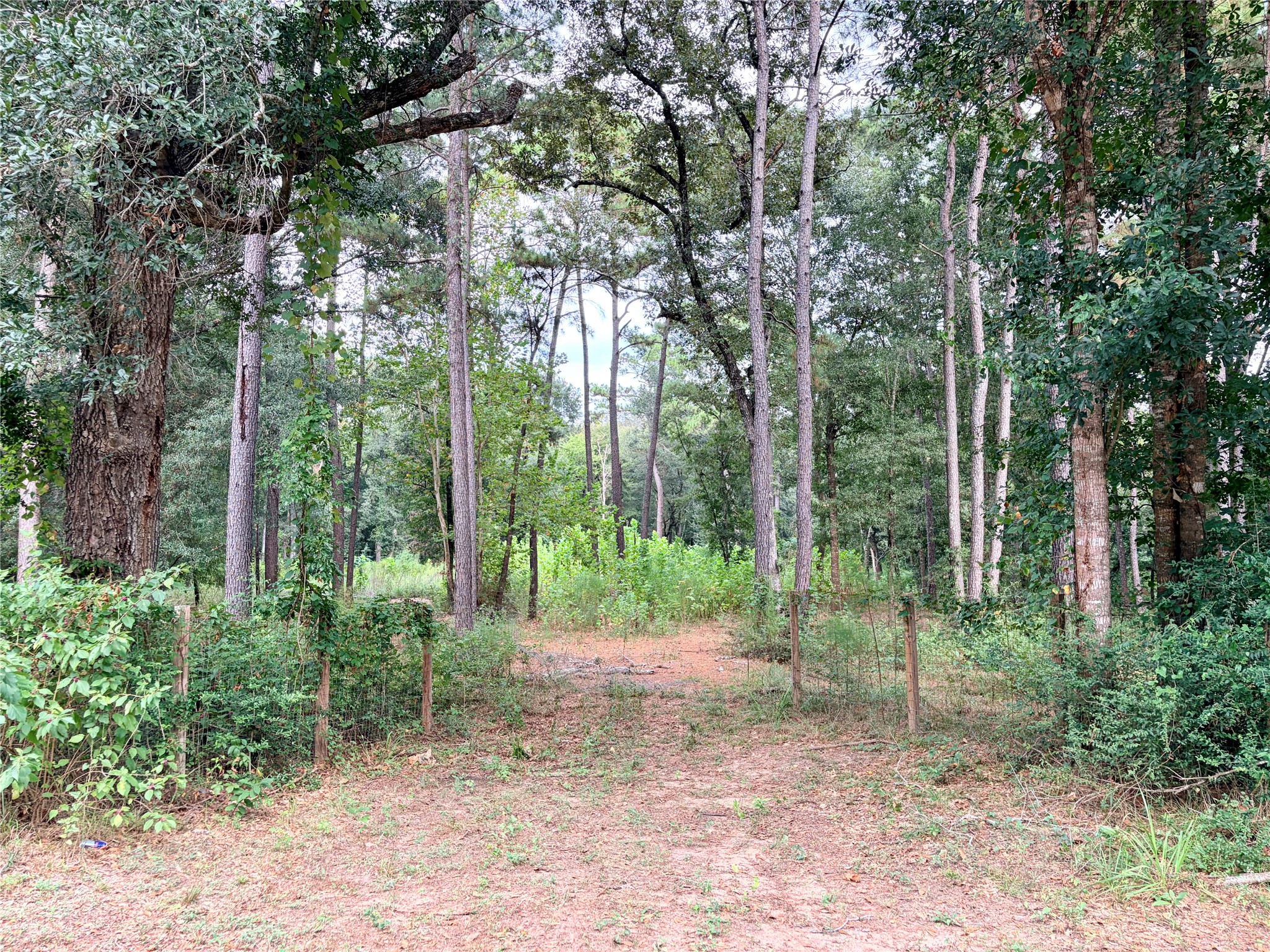 10012 Bentley Drive Property Photo 13