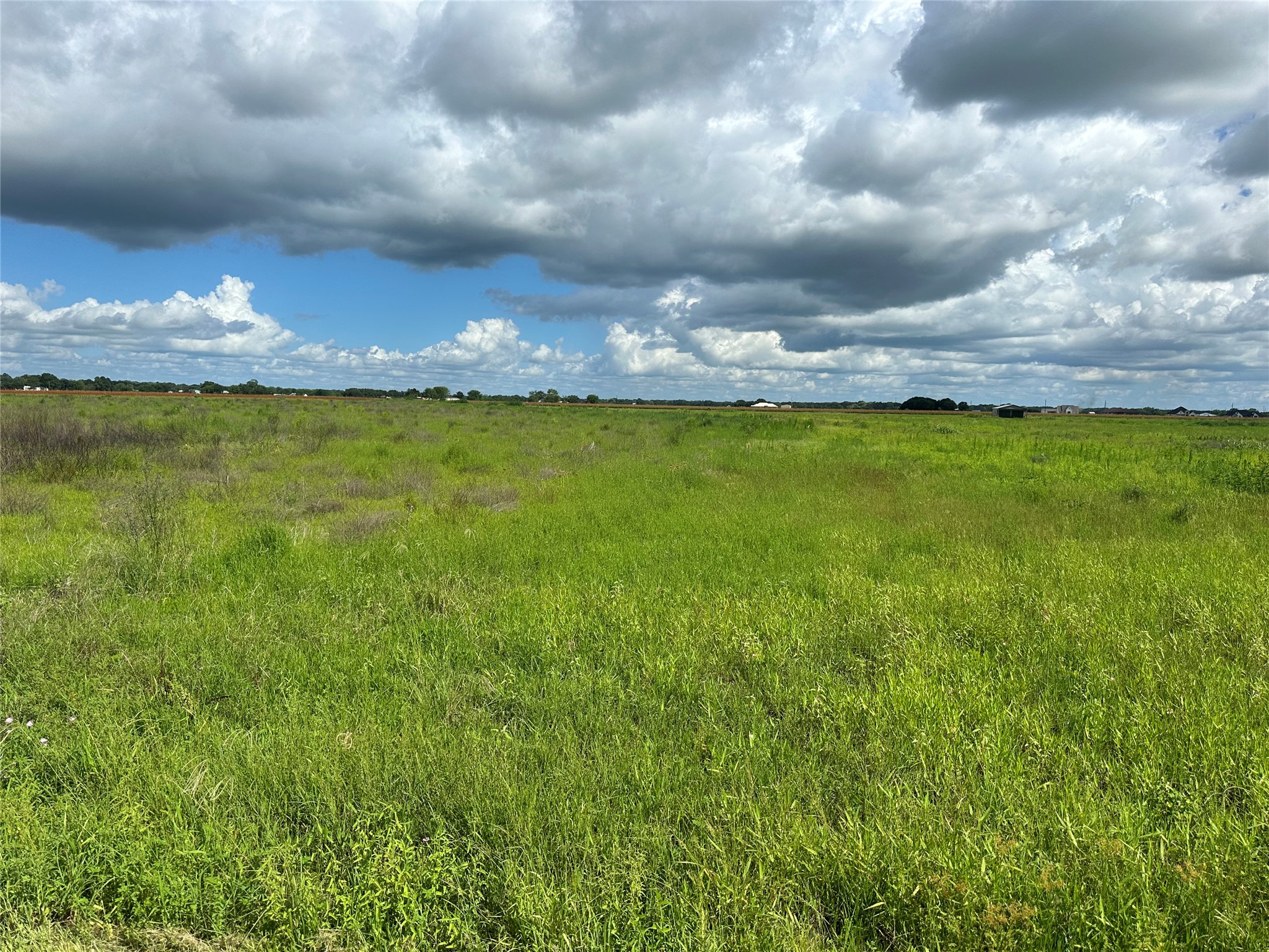 Tbd County Road 268 Property Photo 1