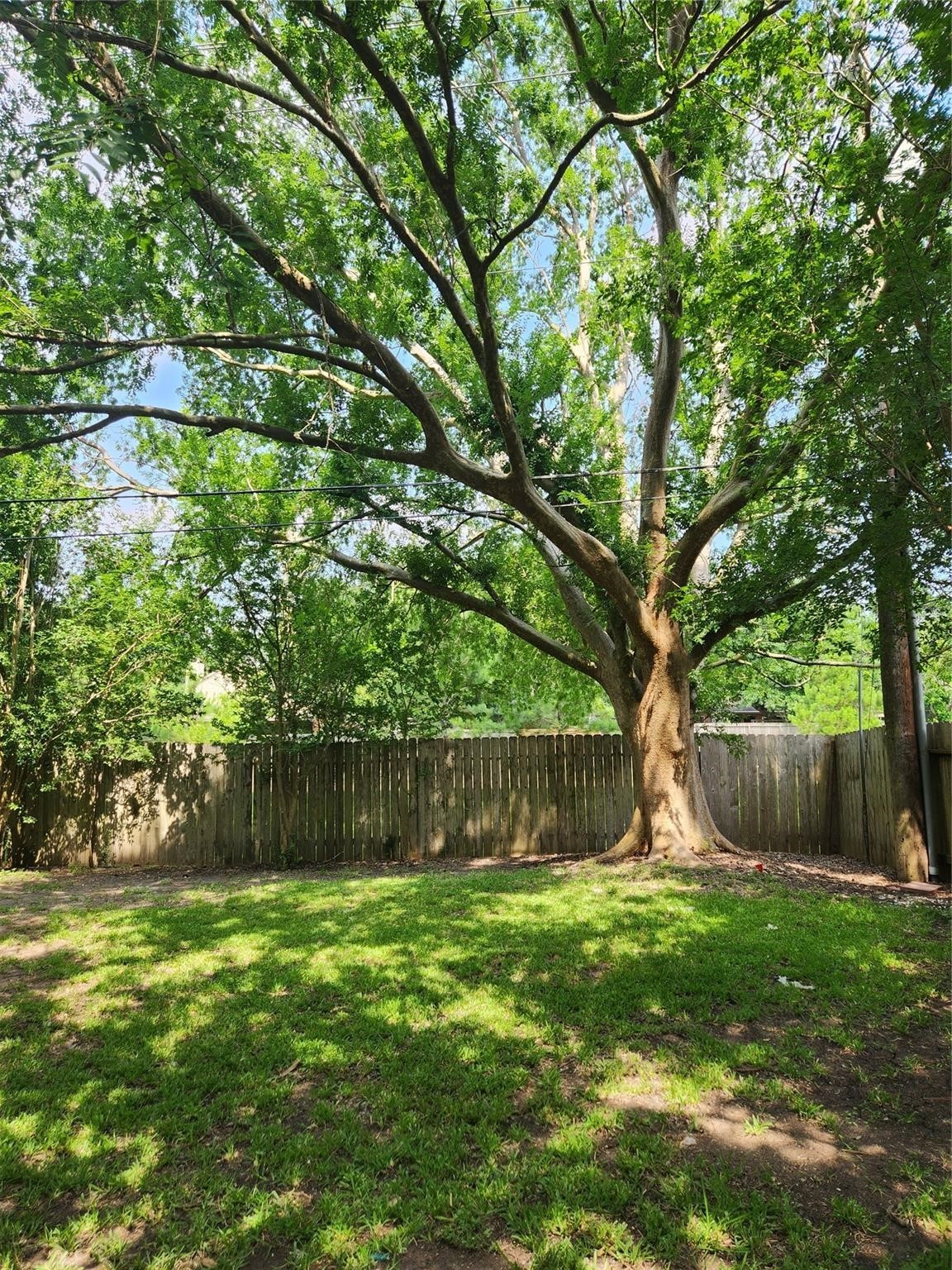 14562 Oak Chase Drive Property Photo 17