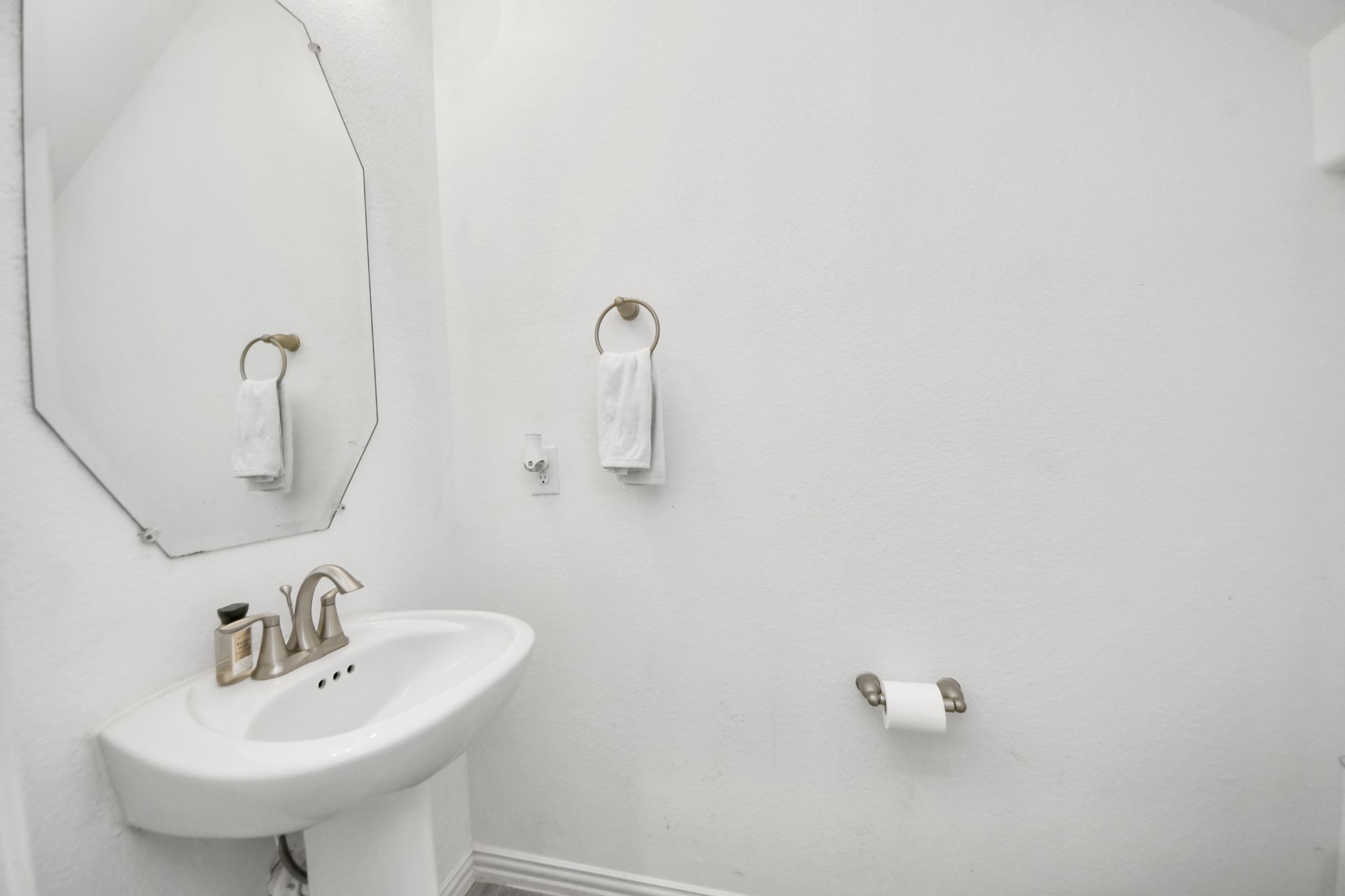 30207 Twisting Springs Drive Property Photo 27
