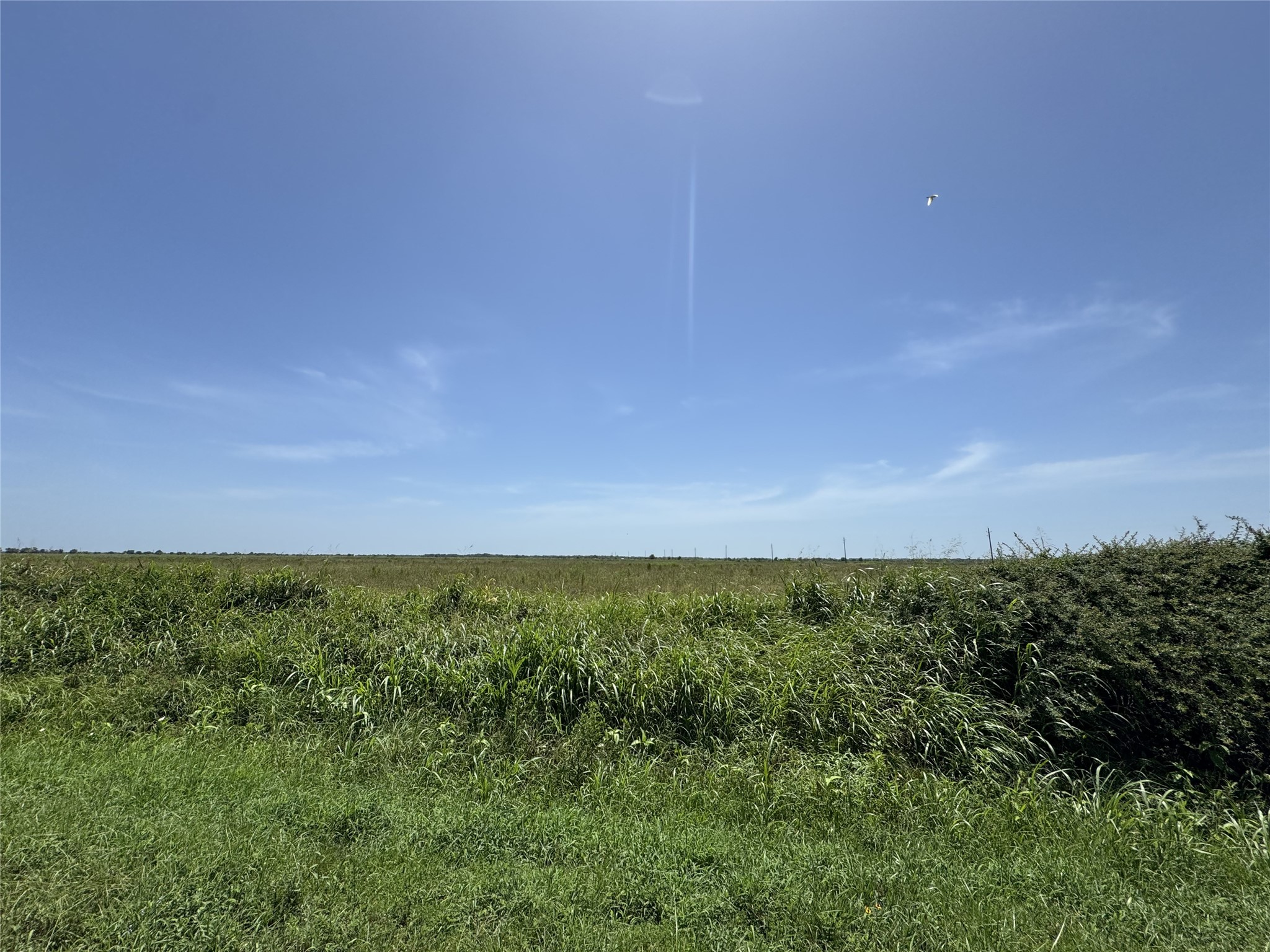 0 S Cr 267 Lot 4 Property Photo 2