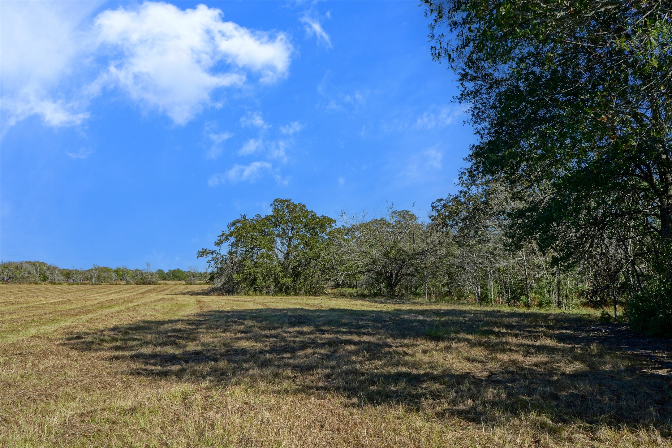 Lot 6 County Rd 229 Property Photo 1