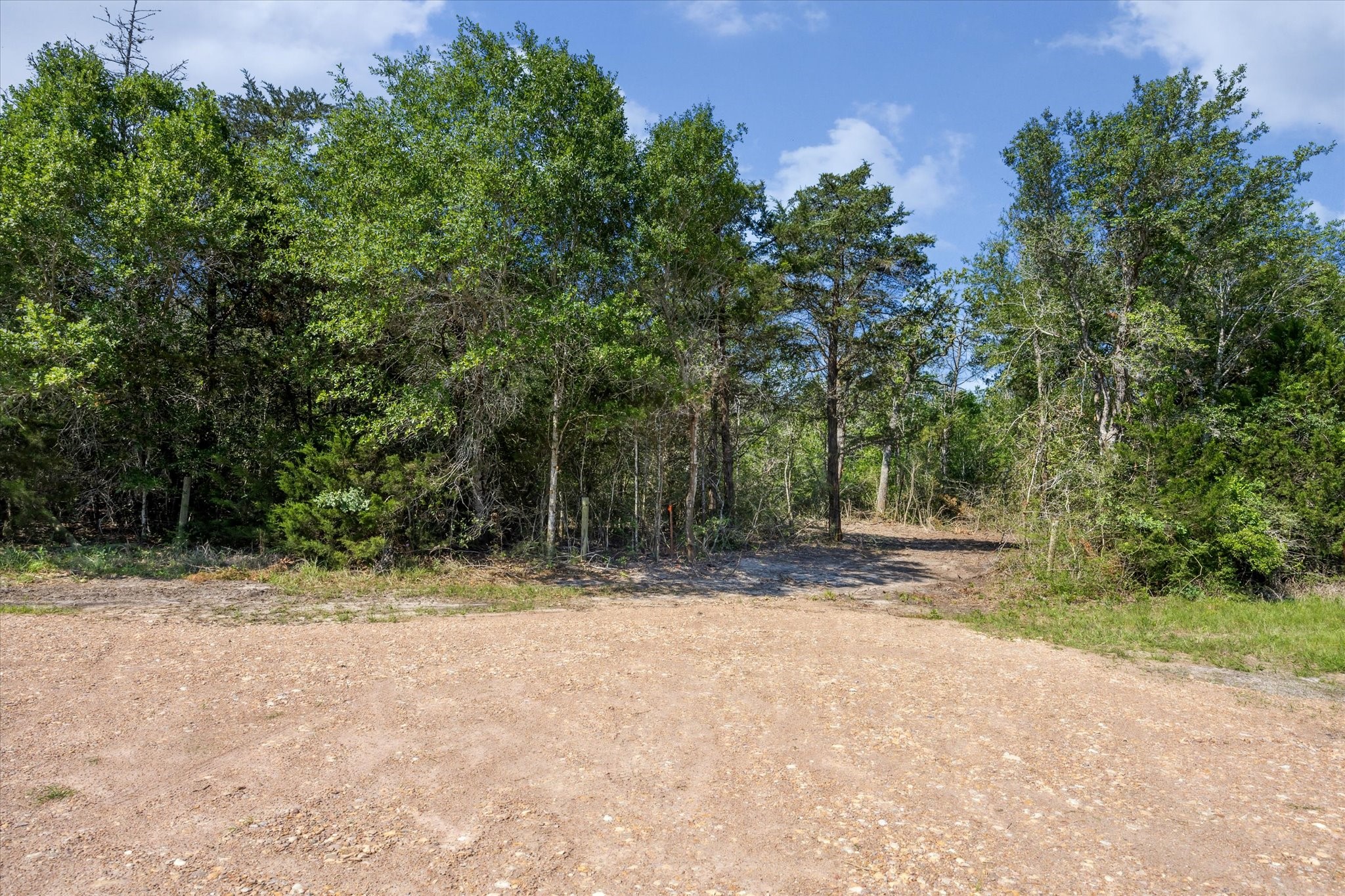 Tbd Tx-159 Property Photo 3