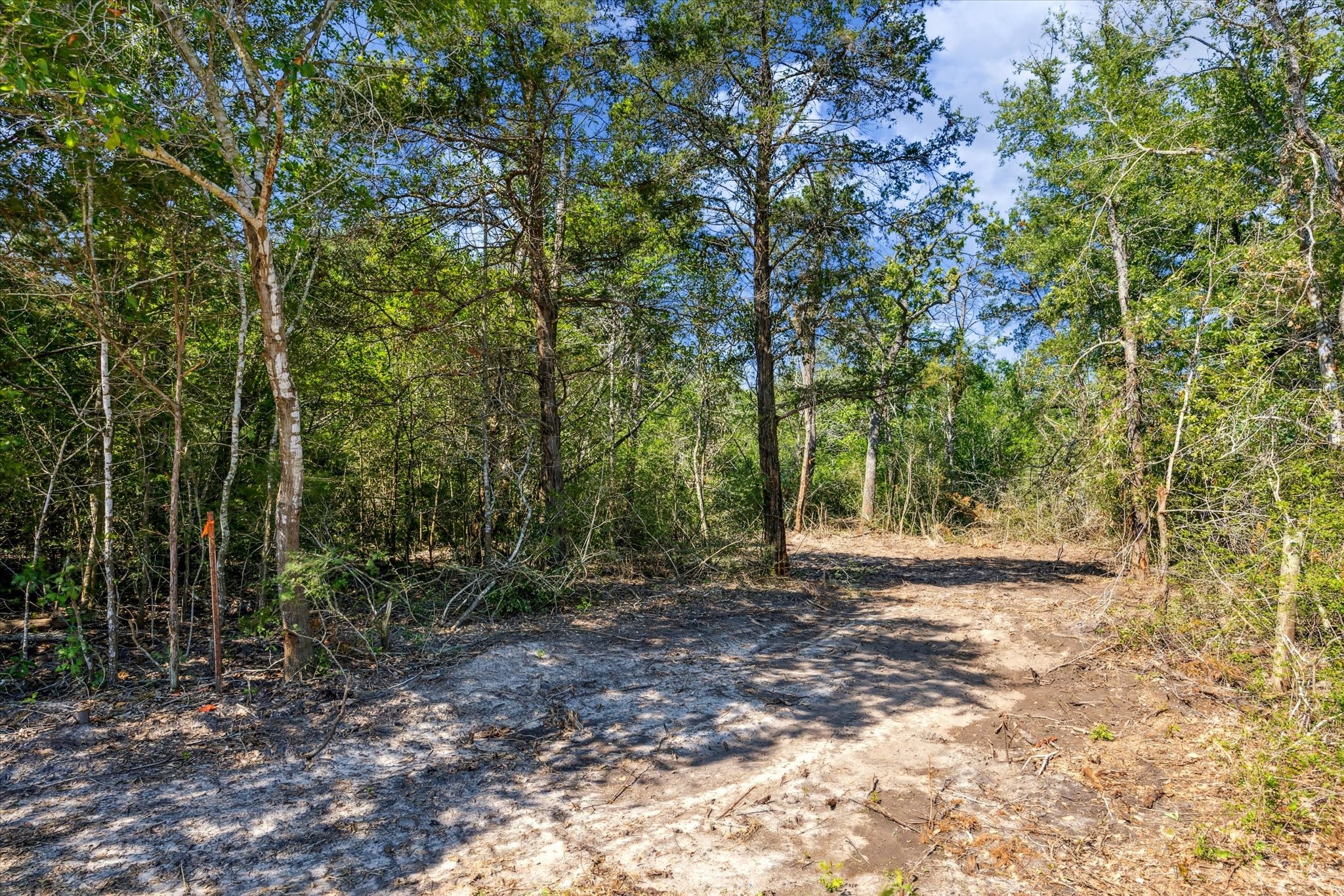 Tbd Tx-159 Property Photo 4