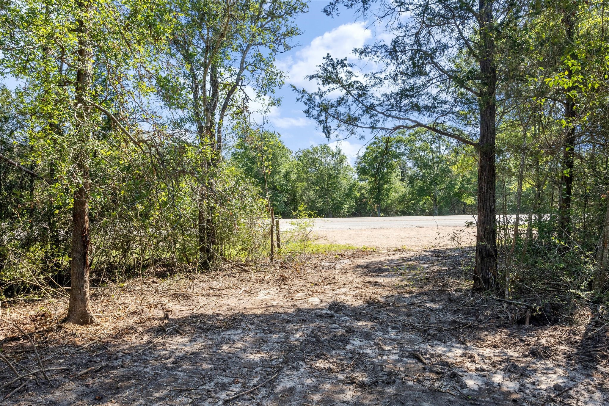 Tbd Tx-159 Property Photo 5