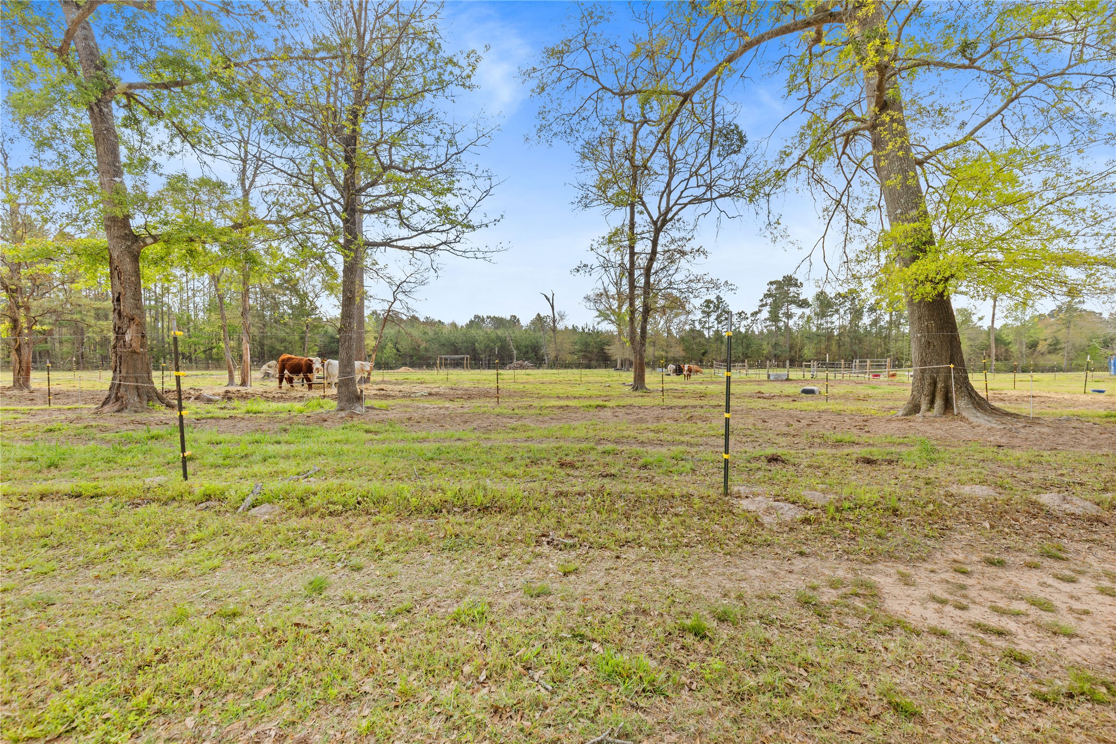 110 Southwood Forest Road Property Photo 38