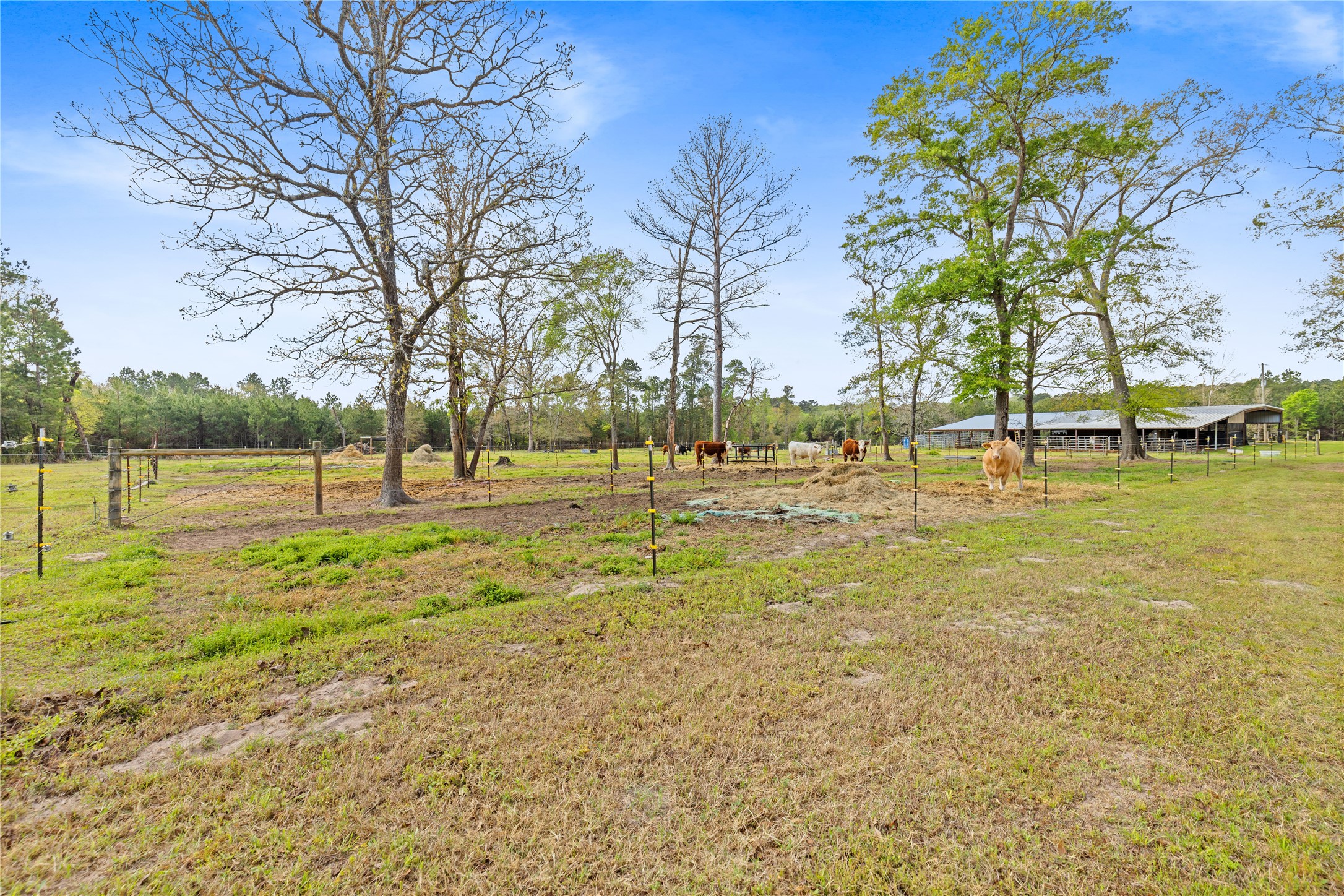 110 Southwood Forest Road Property Photo 39