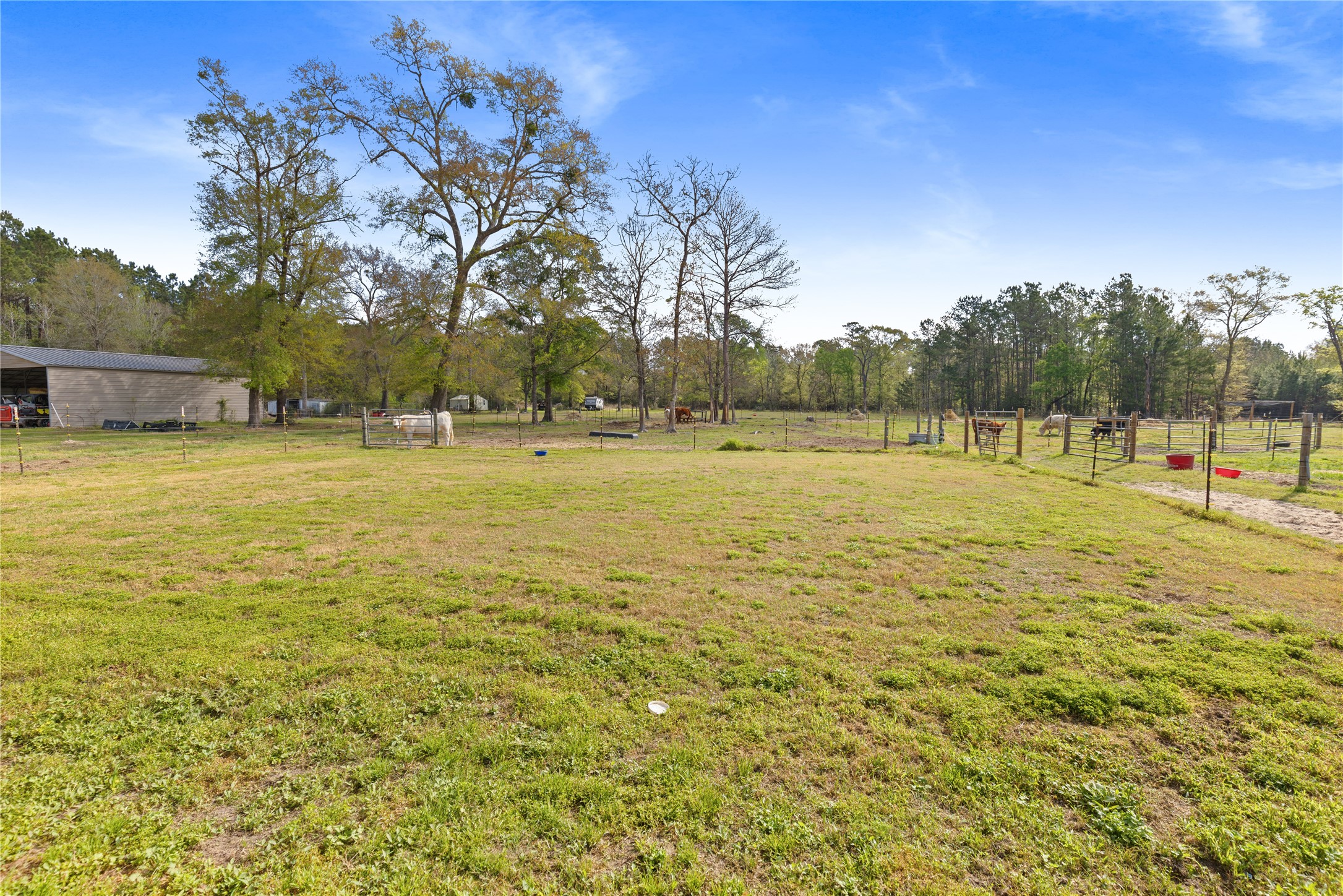110 Southwood Forest Road Property Photo 41