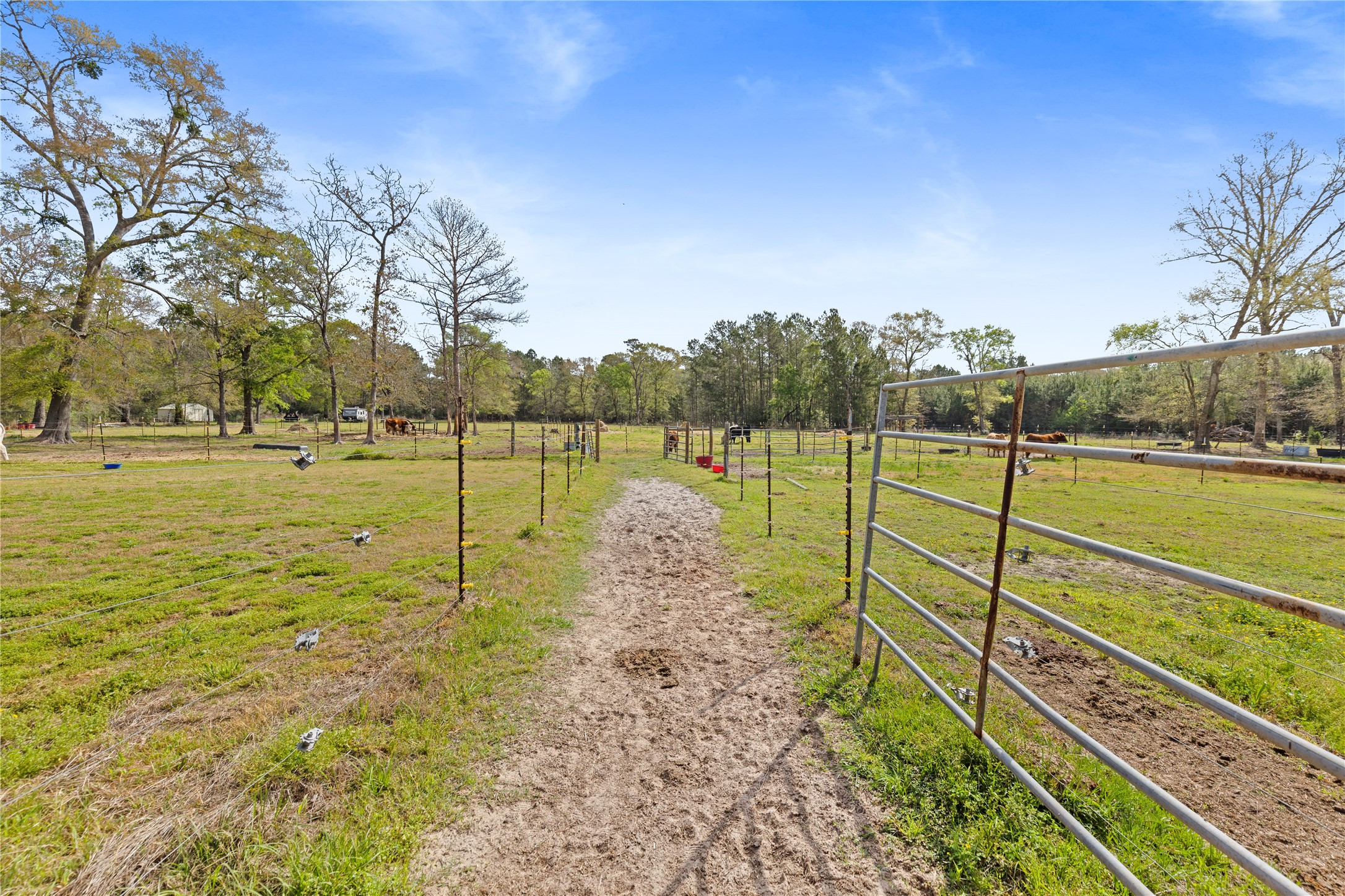 110 Southwood Forest Road Property Photo 43