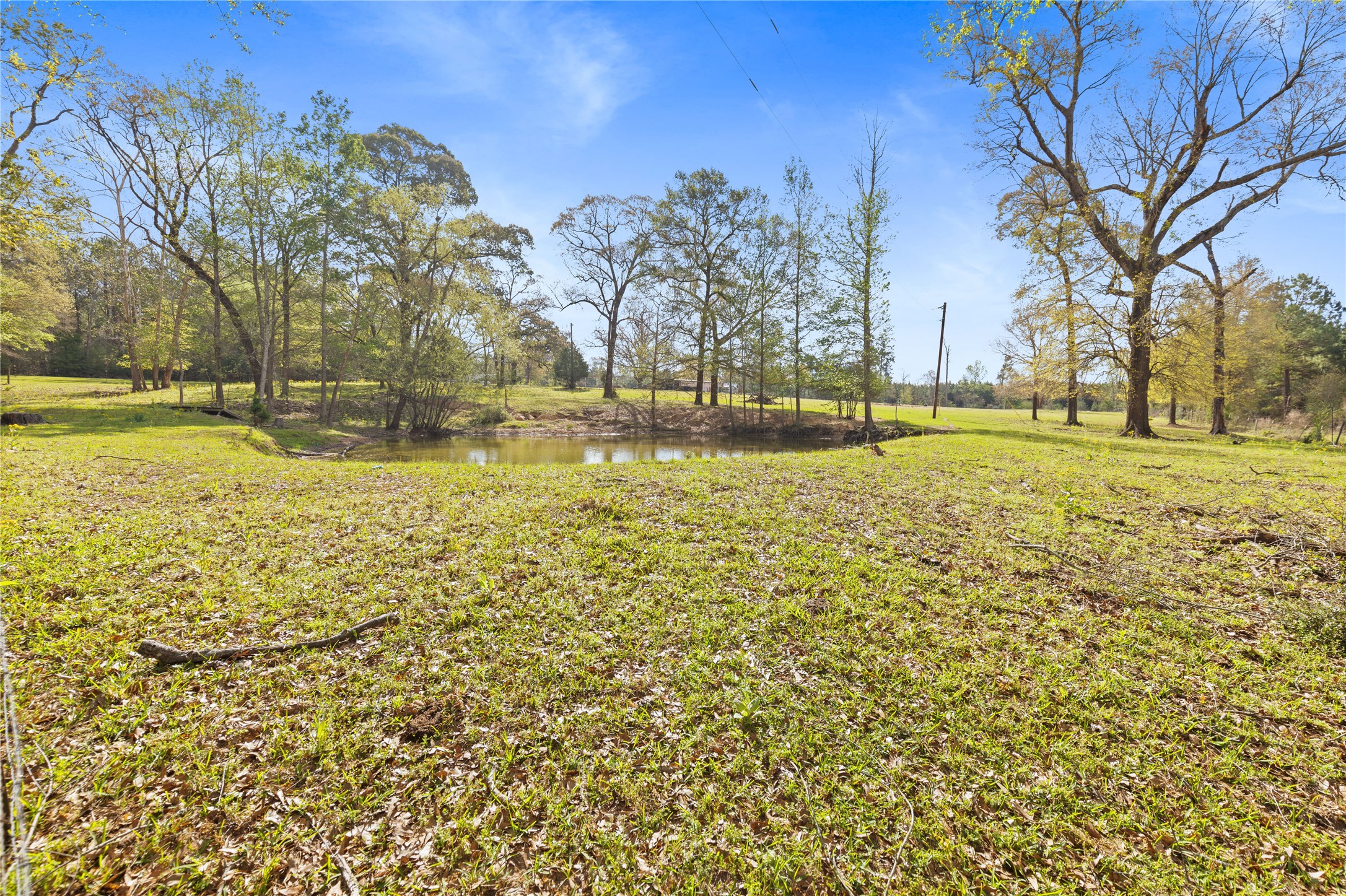 110 Southwood Forest Road Property Photo 45