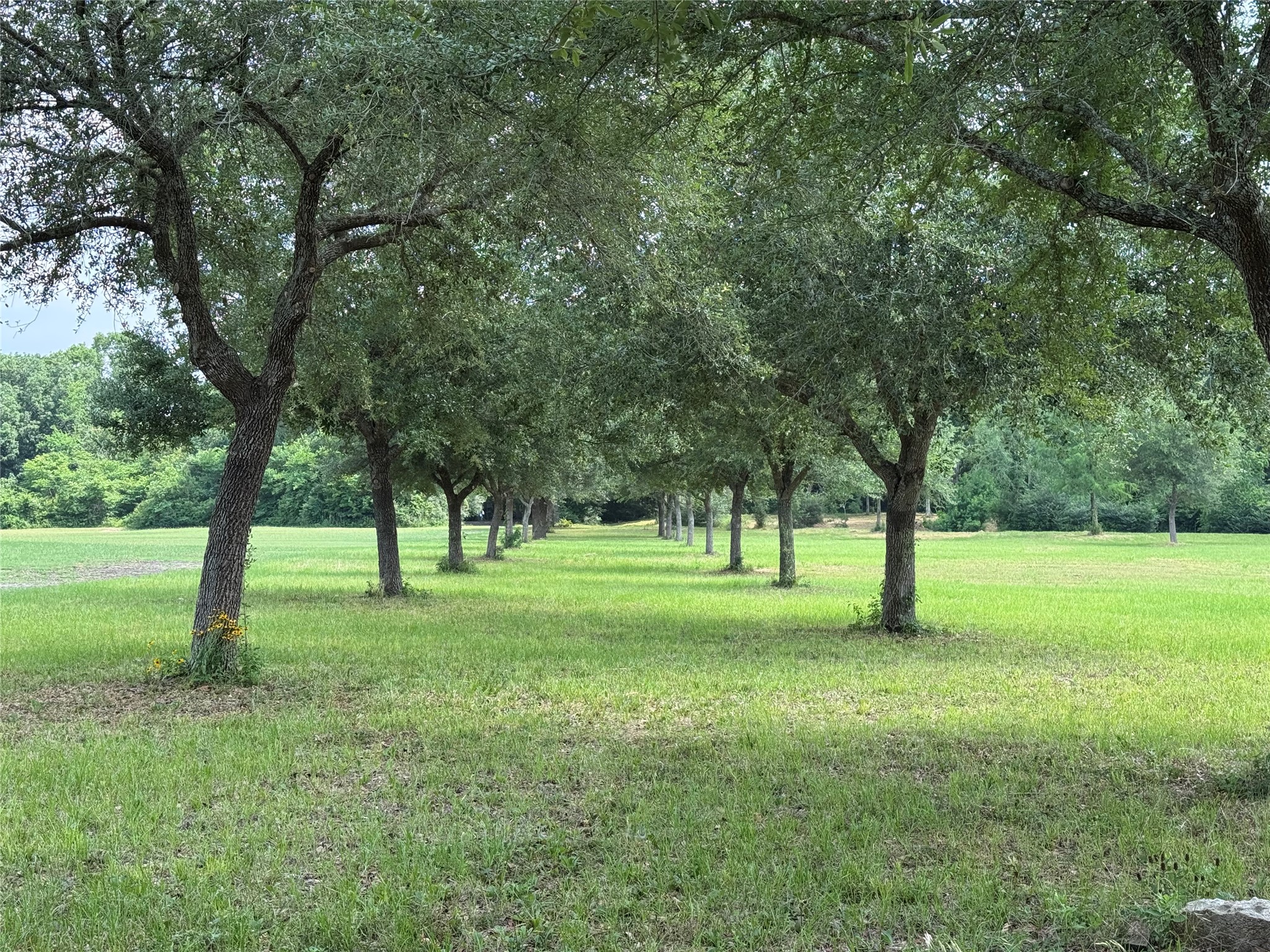24077 Old Dobbin Plantersvil Road Property Photo 1