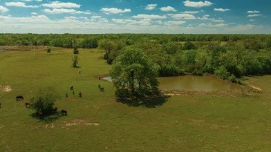 11000 Fm 974 Property Photo 4