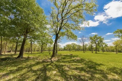 11000 Fm 974 Property Photo 12