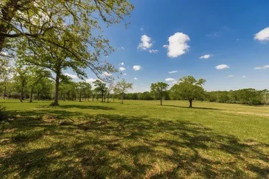 11000 Fm 974 Property Photo 13