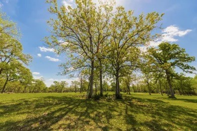 11000 Fm 974 Property Photo 14