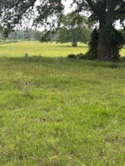 11000 Fm 974 Property Photo 17