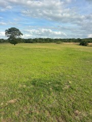 11000 Fm 974 Property Photo 19