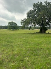 11000 Fm 974 Property Photo 20