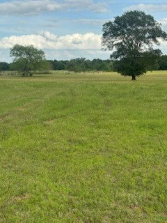 11000 Fm 974 Property Photo 35
