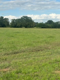 11000 Fm 974 Property Photo 37