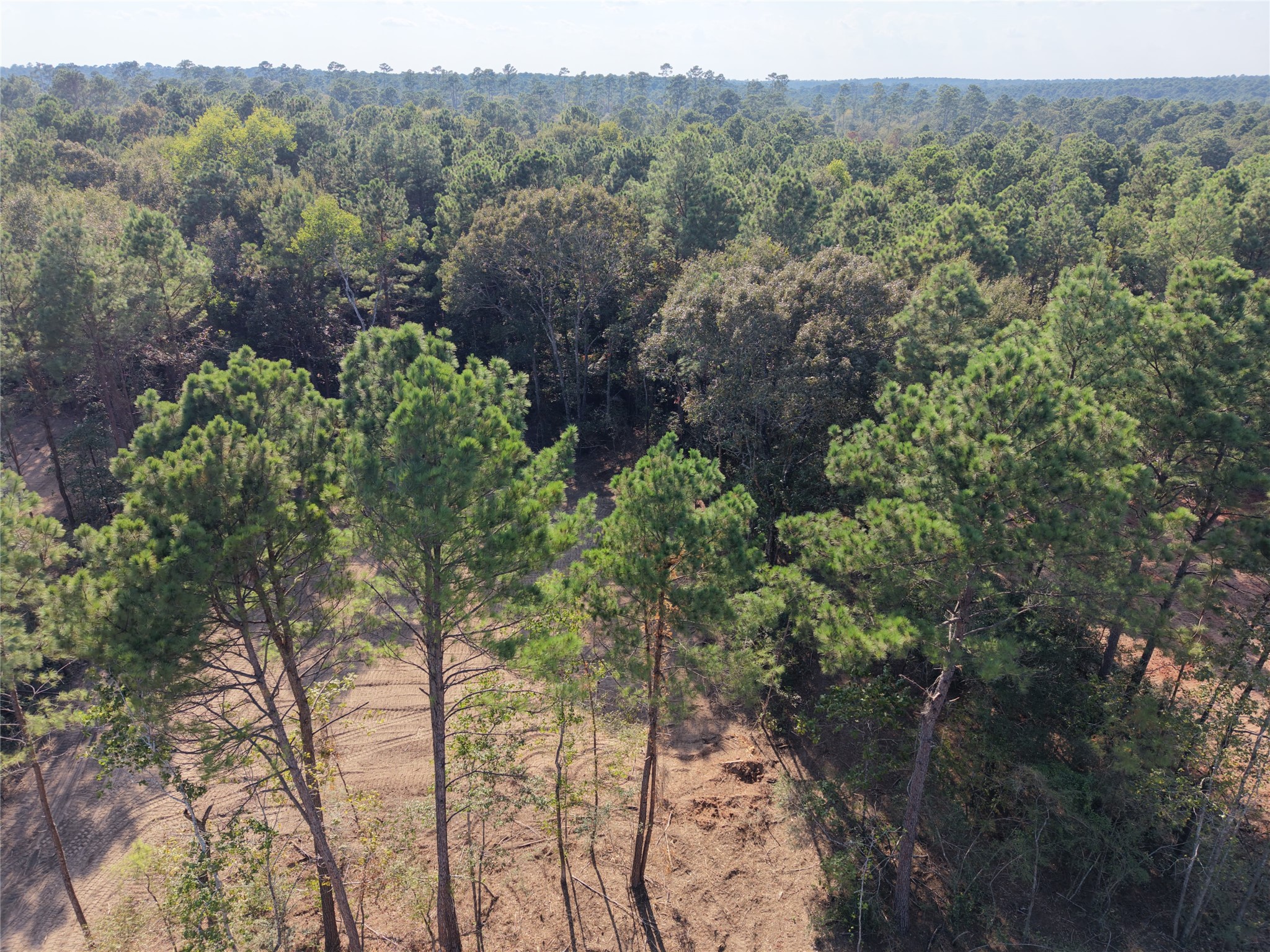 Tbd Stillwater Cove Court Property Photo 5