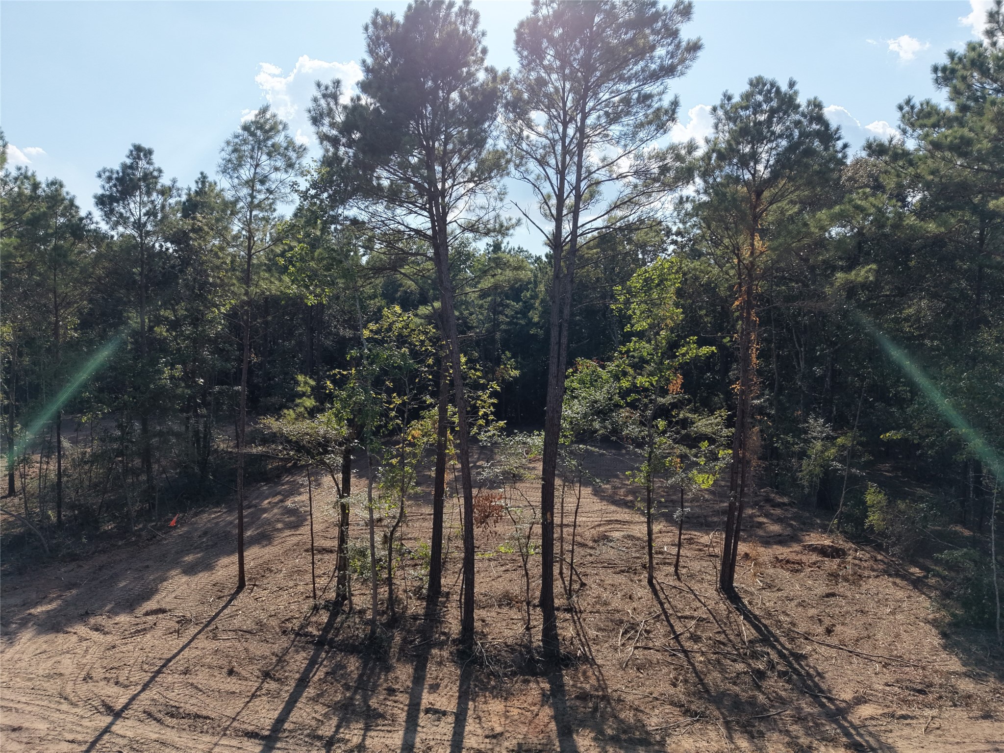 Tbd Stillwater Cove Court Property Photo 25