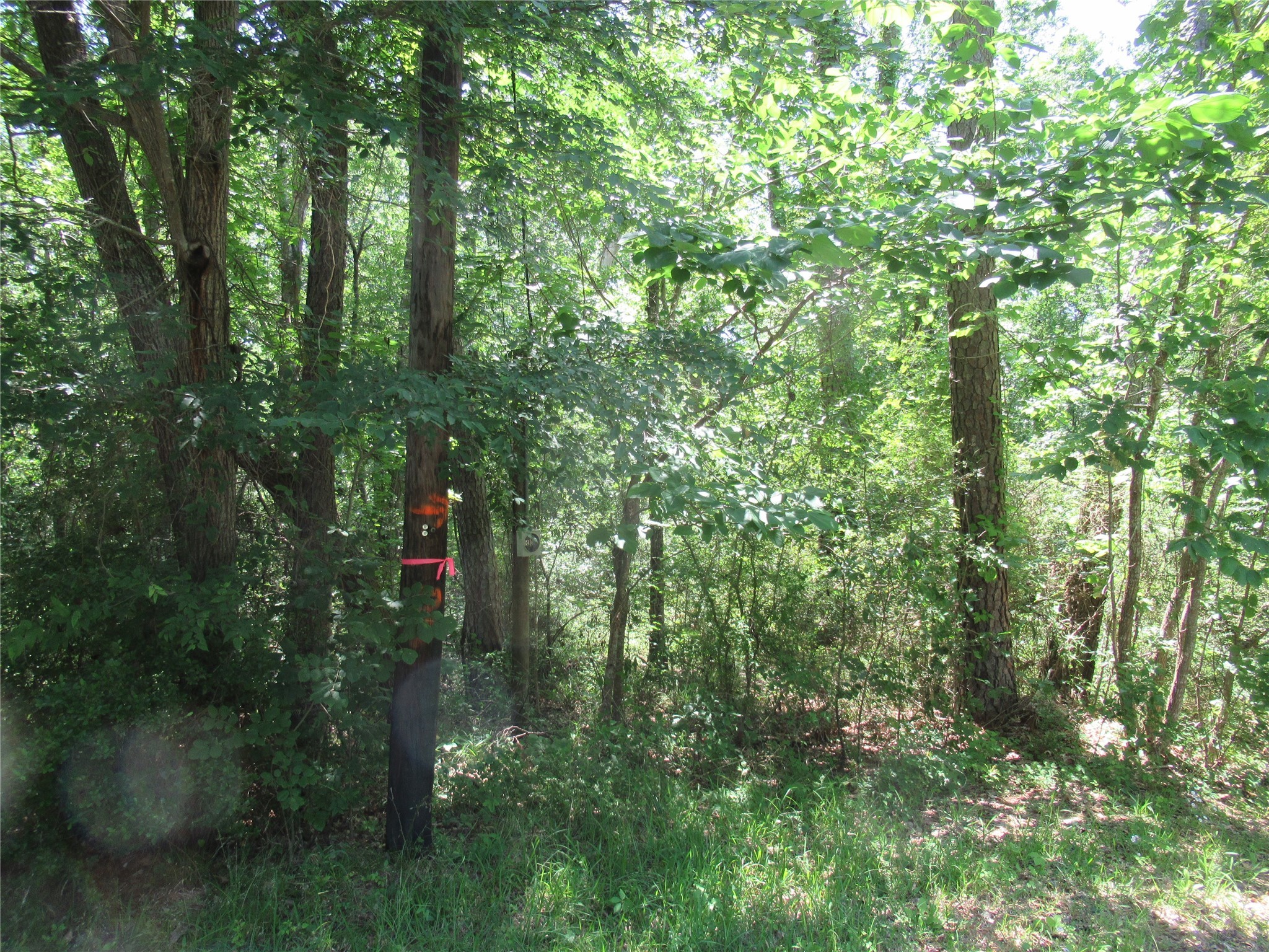 375 Noel Property Photo 2