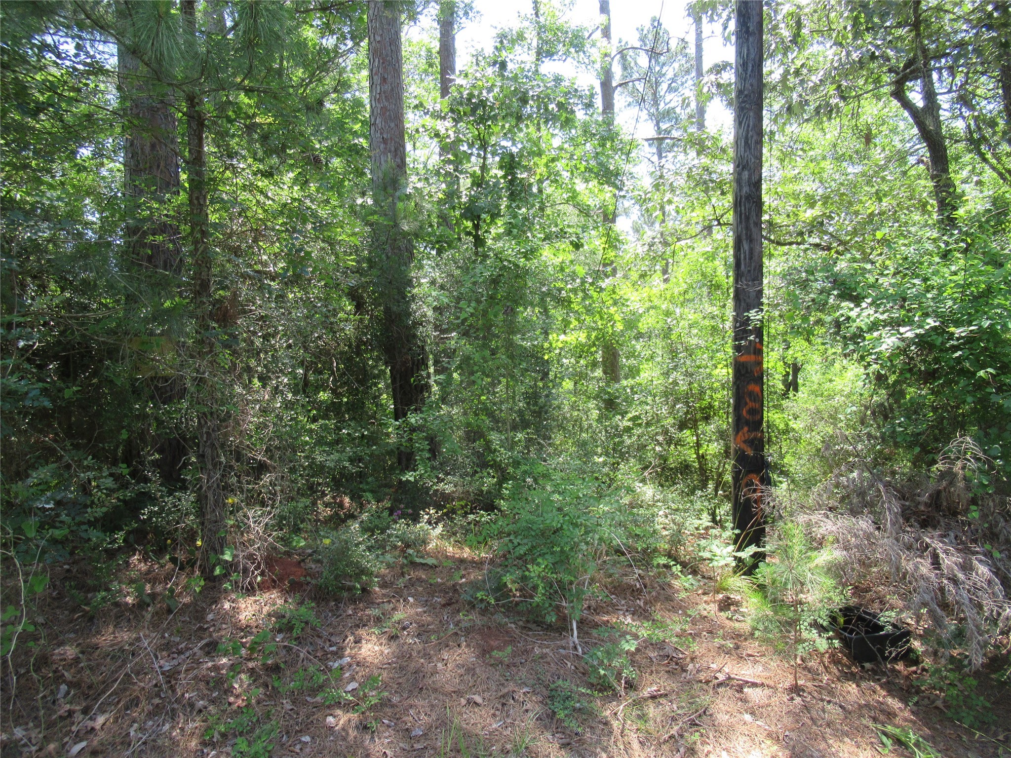 375 Noel Property Photo 11