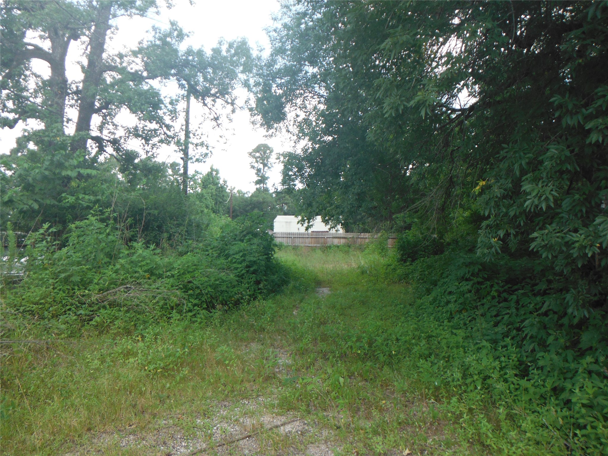 12397 E Highway 105 E Property Photo 1