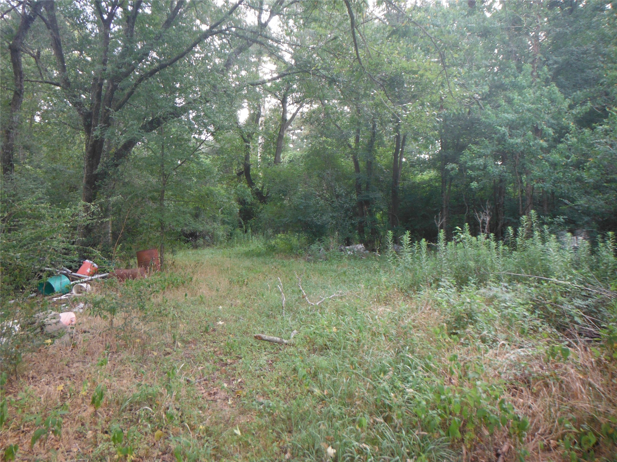 12397 E Highway 105 E Property Photo 2