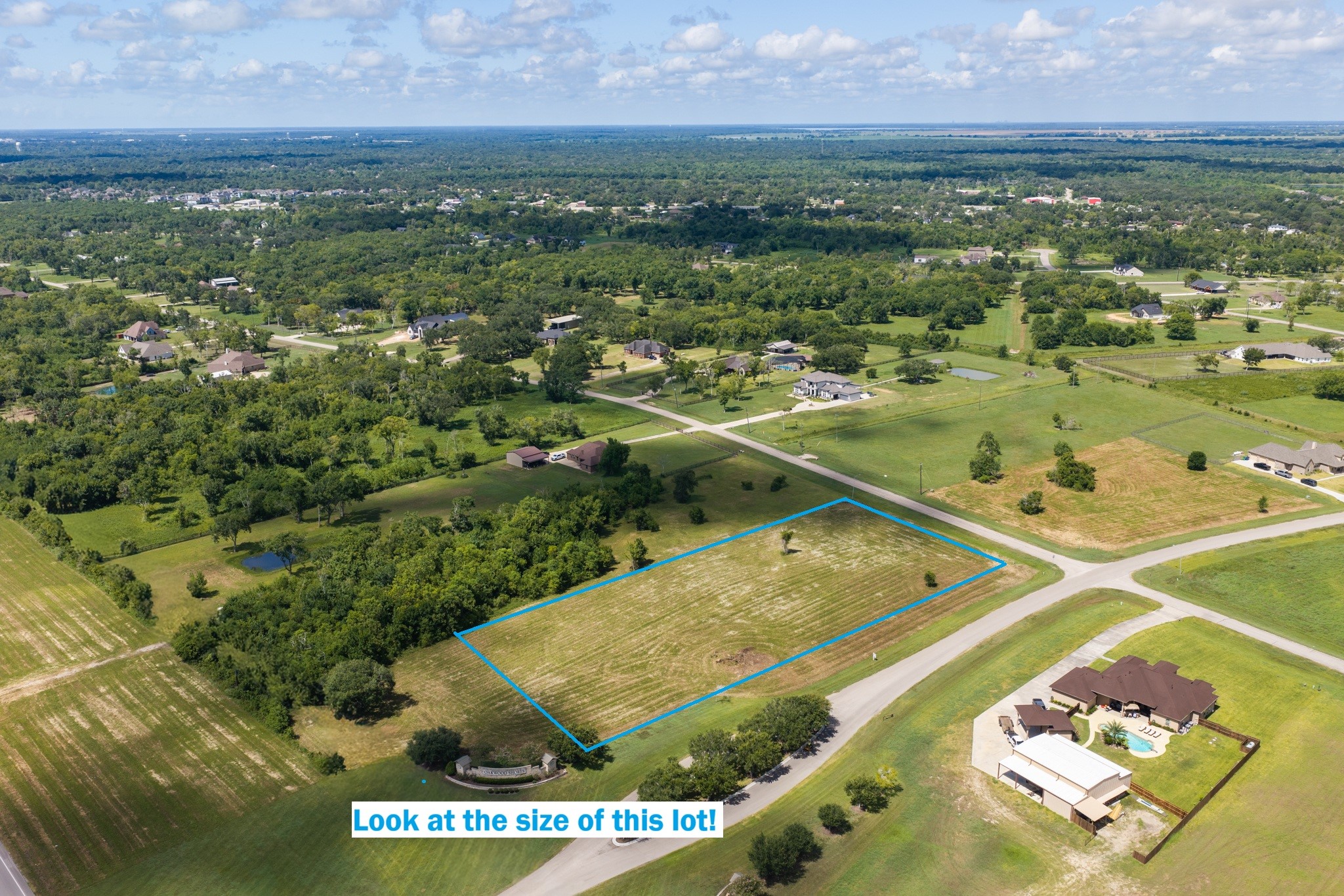 33003 Blue Crab Court Property Photo 10