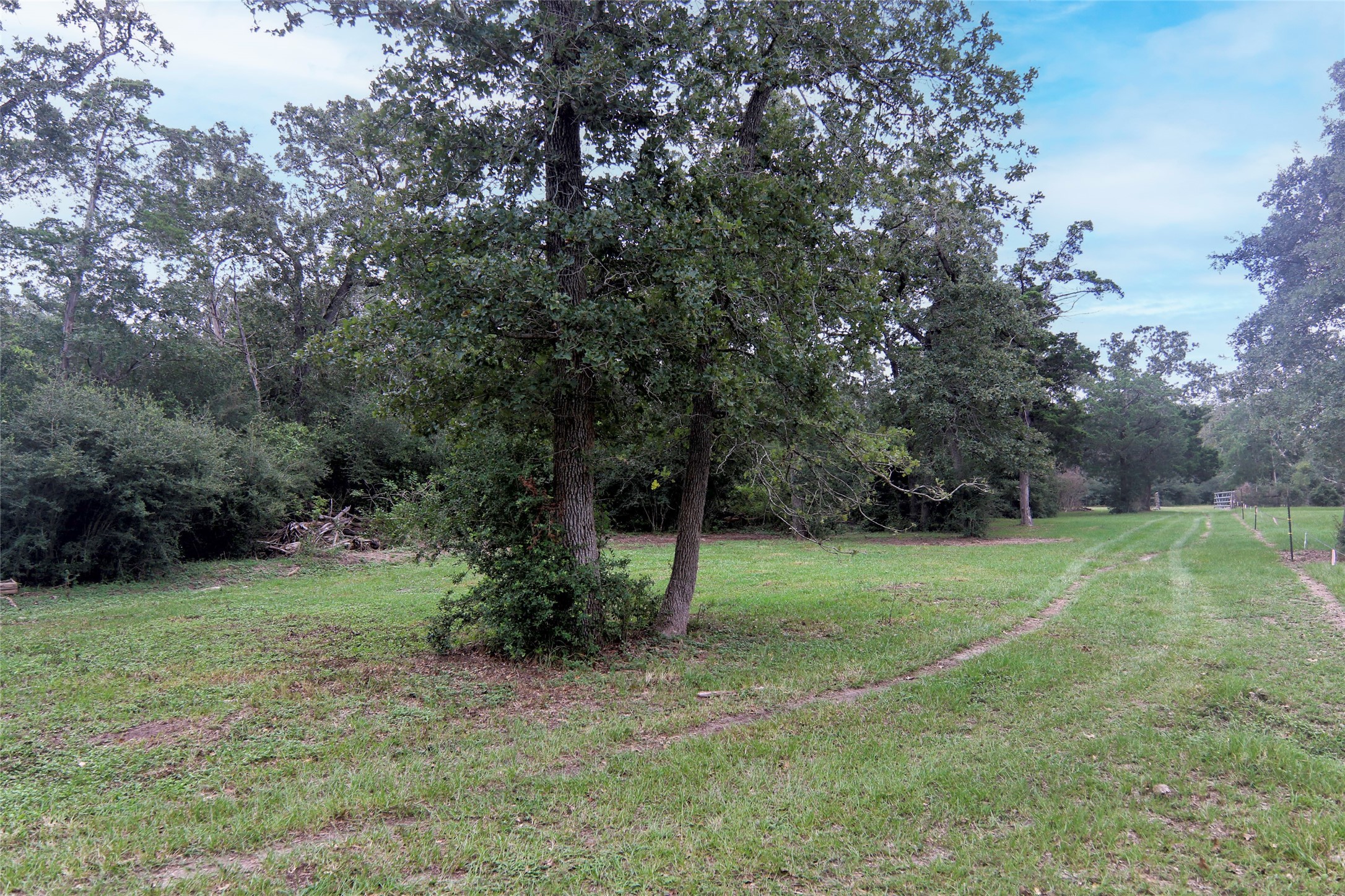 4744 Freyburg Hall Road Property Photo 3
