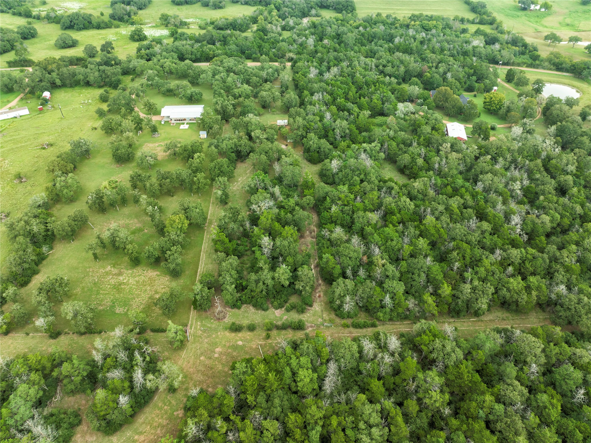4744 Freyburg Hall Road Property Photo 12