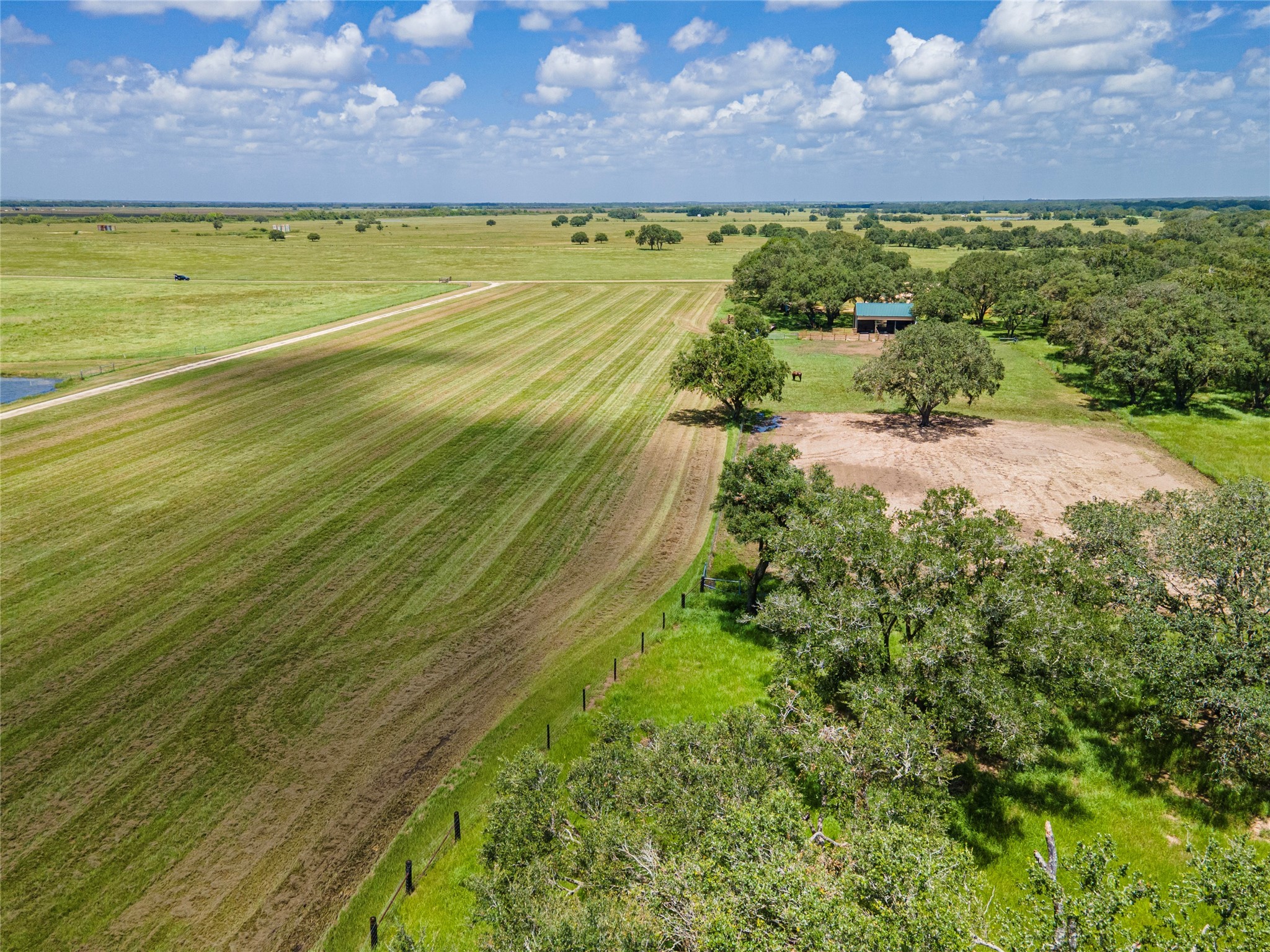 7887 Fm 1468 South Property Photo 5
