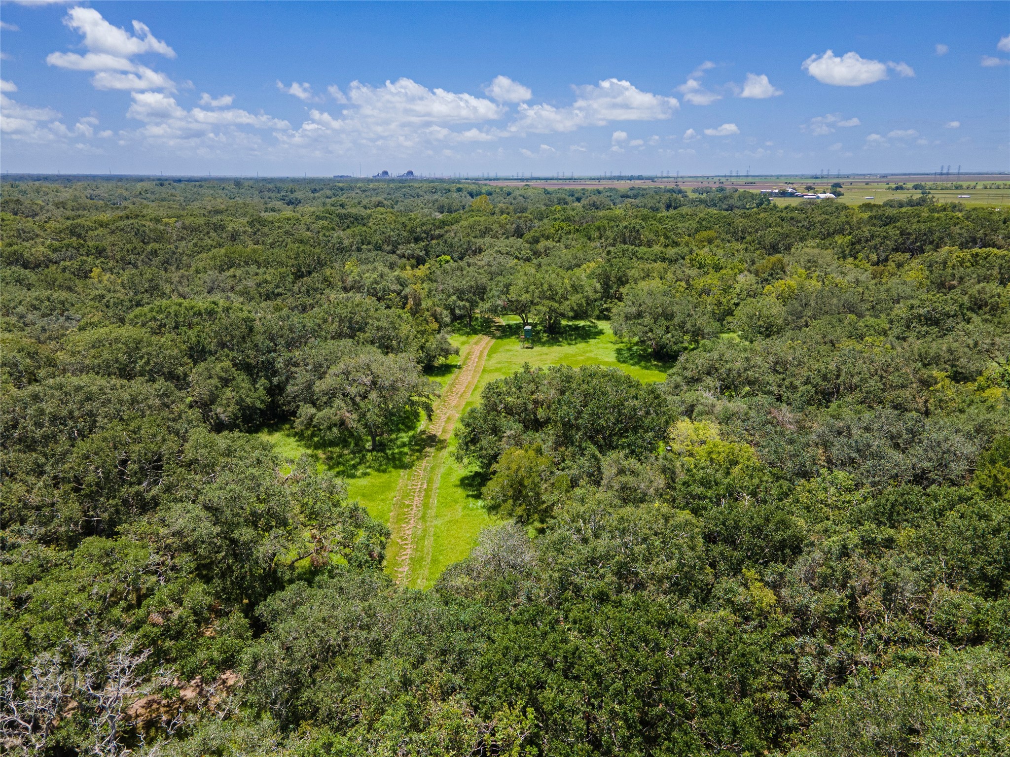 7887 Fm 1468 South Property Photo 11