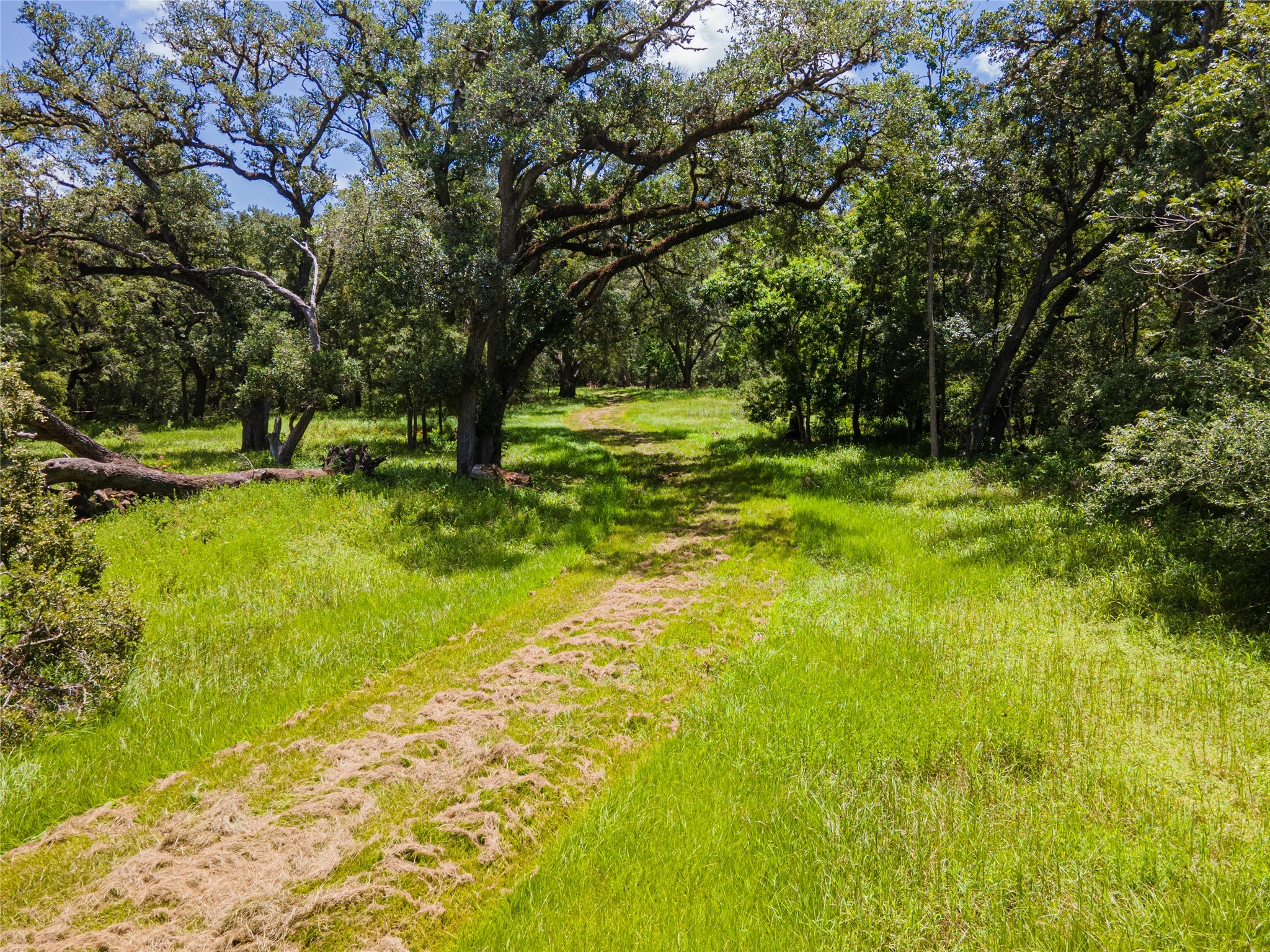 7887 Fm 1468 South Property Photo 12