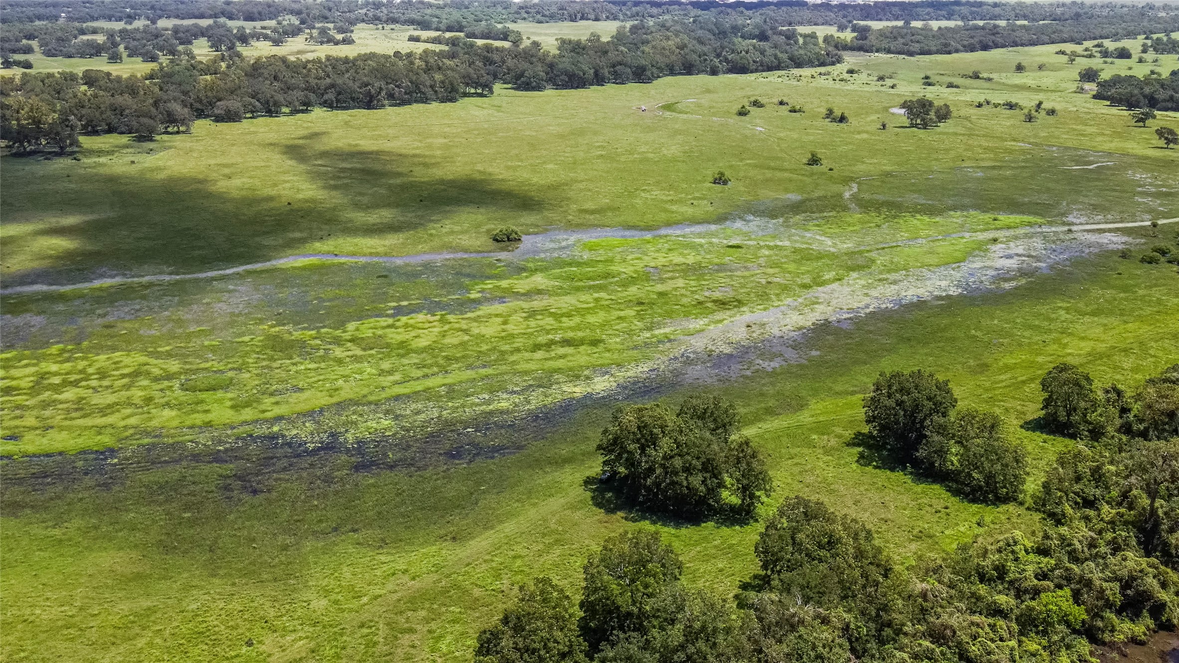 7887 Fm 1468 South Property Photo 16