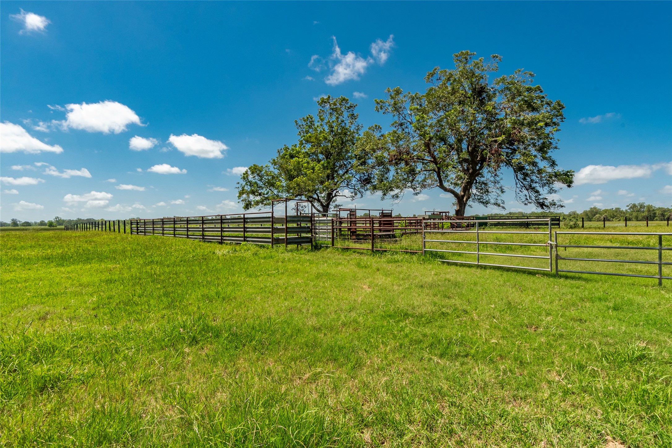 7887 Fm 1468 South Property Photo 45