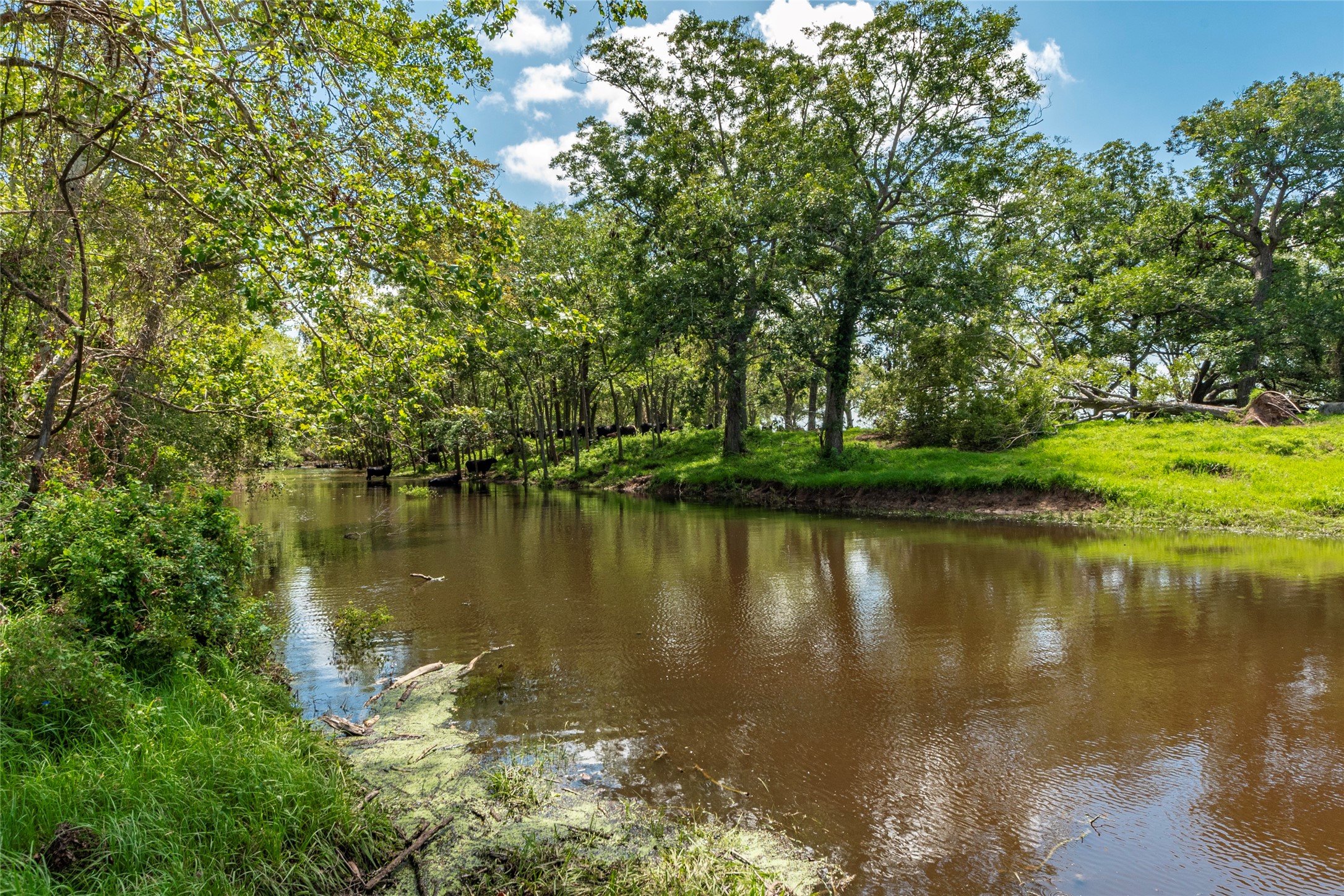 7887 Fm 1468 South Property Photo 46