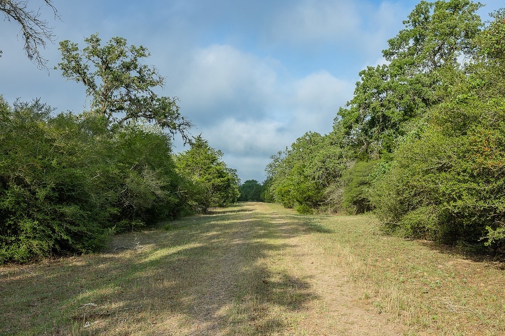 Tbd County Road 132 Property Photo 3