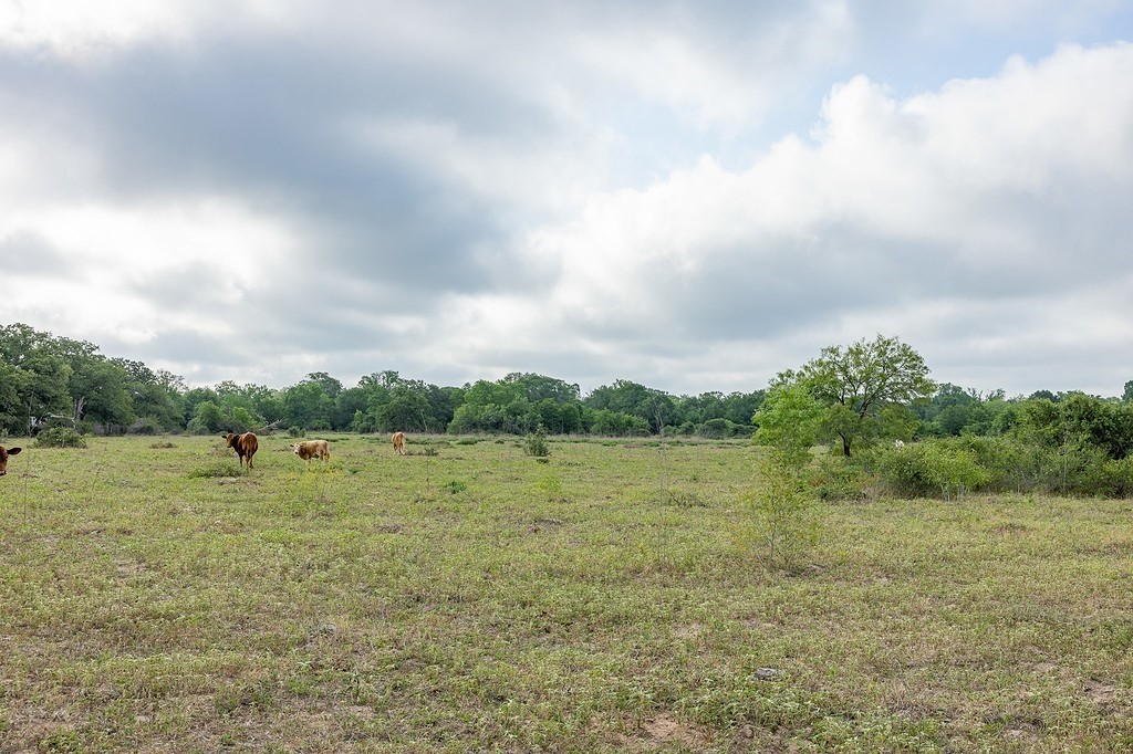 Tbd County Road 132 Property Photo 8
