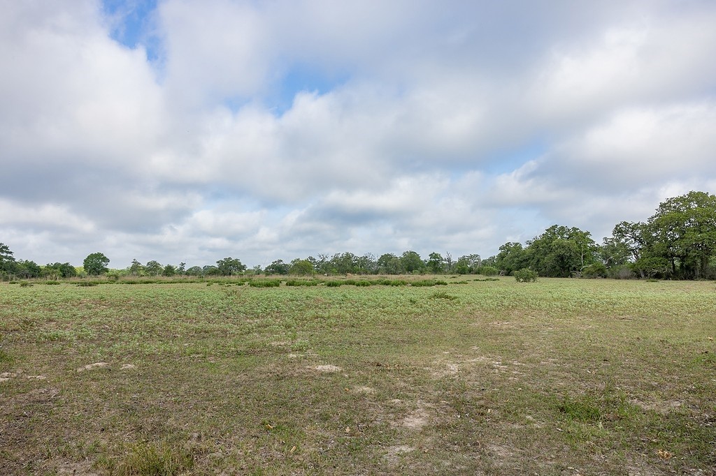 Tbd County Road 132 Property Photo 12