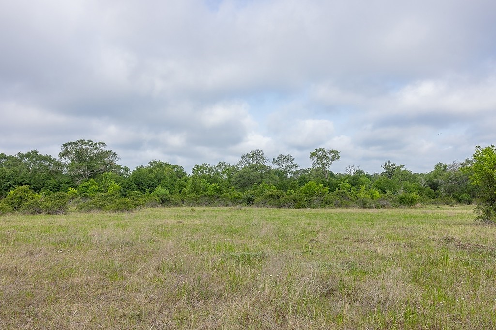 Tbd County Road 132 Property Photo 16