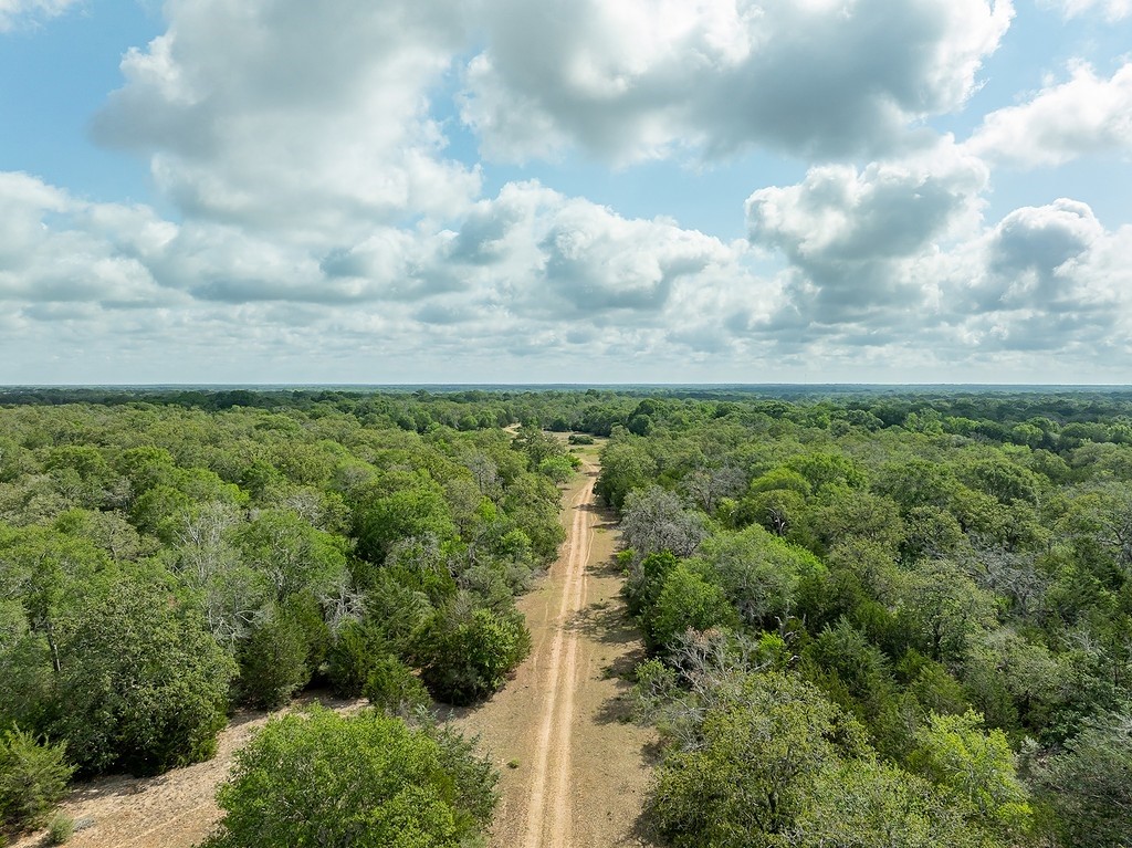 Tbd County Road 132 Property Photo 17