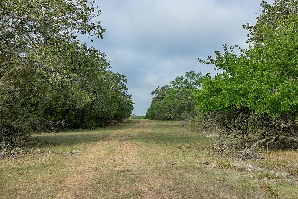 Tbd County Road 132 Property Photo 20